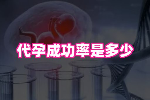 杭州助孕网站 1
