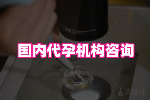 杭州助孕网站 2
